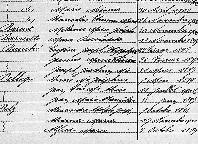  tables decennales naissance Joseph Joachim Marie Bauch&eacute;